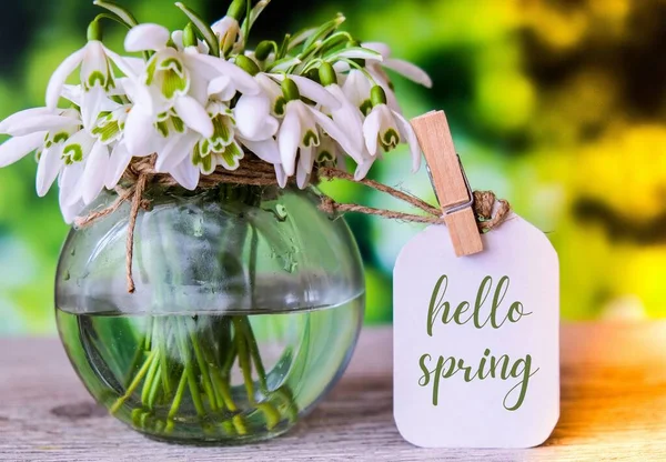 Grußkarte Text Hello Spring Schriftzug Mit Schneeglöckchen Blumen Vorfrühling Blüht — Stockfoto