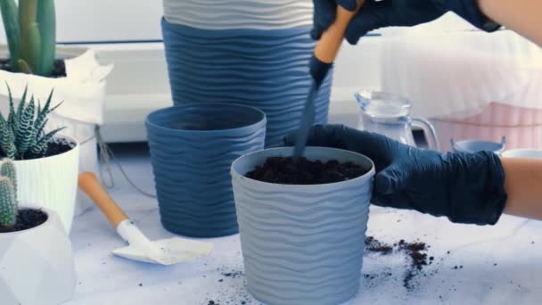 Femme jardinier mains transplantation violette dans un pot. Les femmes mains jardinier verser la terre avec une pelle. Femme au foyer prenant soin des plantes de la maison. Verser la terre dans le pot de la plante — Video