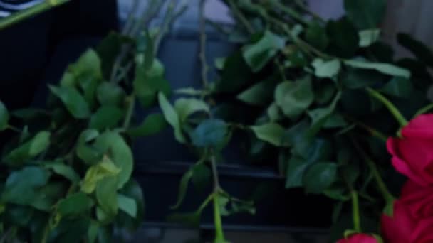 Kwiaciarnia organizująca bukiet z róż. Zamknij kwiaciarnia pracy cięcia róż rdzeń nożycami do przycinania podczas tworzenia aranżacji składu. Dzień pracy w salonie kwiaciarni — Wideo stockowe