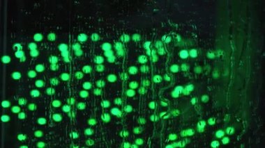 Pencere camında yağmur damlaları var. Yeşil ışıkla yakın plan. Islak camda gece ışığı yansıması. Damlacık arkaplan dokusu