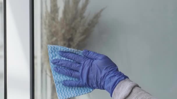 Mycie okna. Młoda kobieta czyści i poleruje okna Niebieskie Rękawiczki czyszcząc okno spryskanym płynem. Wycieraczka z brudnym oknem z zewnętrznego zbliżenia. Prace domowe i sprzątanie — Wideo stockowe
