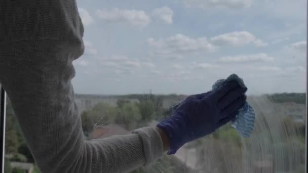 Cleaning the window. A young woman cleans and polishes windows Blue Gloves Cleaning a Window Using Sprayed Liquid. Wiper with a dirty window from the outside close-up. Housework and housekeeping — Stock Video