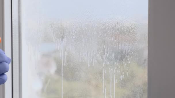 Rengör fönstret. En ung kvinna rengör och polerar fönster Blå handskar Rengör ett fönster med sprayad vätska. Torka med ett smutsigt fönster från utsidan närbild. Hushållsarbete och hushållsarbete — Stockvideo