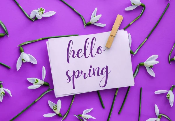 Texto Cartão Hello Spring Lettering Com Flores Neve Flores Primavera — Fotografia de Stock