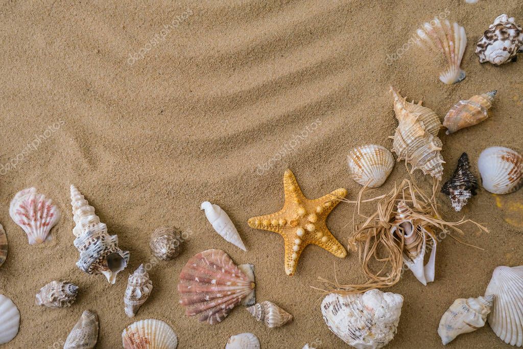 Composition frame for copy space, seashells, pebbles, mockup on sand background. Blank, top view, still life, flat lay. Sea vacation travel concept tourism and resorts. Summer holidays