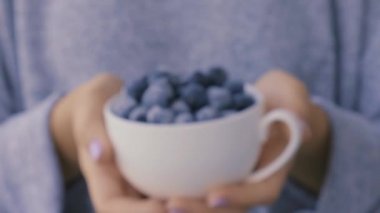 Elinde dondurulmuş yaban mersini meyvesi olan bir kadın. Hasat konsepti. Dişi eller böğürtlen topluyor. Sağlıklı beslenme konsepti. Kış için böğürtlen stokluyorum. Vejetaryen yemeği.