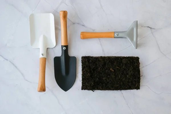 Garden tools. Gardening tools on concrete background flat lay. Plant flowers for garden. Tools spade, fork, hand cultivator, hoe and pot with soil