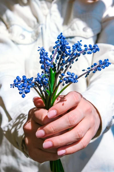 Female Hands Holding Blue Muscari Flowers Gift Child Mothers Day — Stock Photo, Image