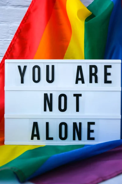 Рейнбоу флаг с лайтбоксом и текстом YOU ARE NOT ALONE. Флаг Rainbow lgbtq изготовлен из шелкового материала. Символ месяца гордости ЛГБТК. Равные права. Мир и свобода — стоковое фото