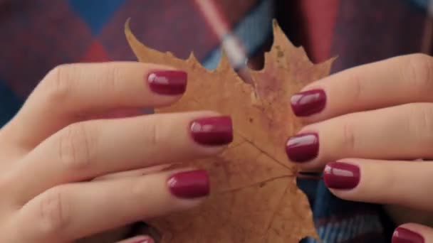 Unhas femininas vermelhas elegantes. Folha de queda nas mãos. Manicura bonita moderna. Conceito de design de unhas outono de tratamento de beleza. Unhas de gel. Cuidados da pele. — Vídeo de Stock