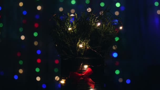 Karácsonyi díszített öko karácsonyfa bokeh fények a háttérben a nappaliban éjszaka. Zéró hulladék dekoráció. Loop video, Téli nyaralás hangulata — Stock videók