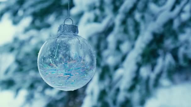 冬の森の雪の支店の火災で透明トレンディーなガラスクリスマスボール。冬休みの背景。新年のメリークリスマス。背景に降る雪 — ストック動画