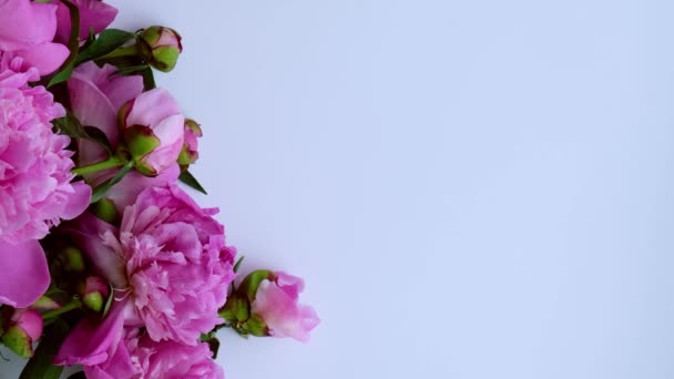 4k Креативне планування з квітами рожевих півоній. Жіноча рука тримає чашку чаю на яскравому столі. Весняний сезонний валентин, жінка, мати, 8 березня свято, романтичний сніданок. Стильний блогер . — стокове відео