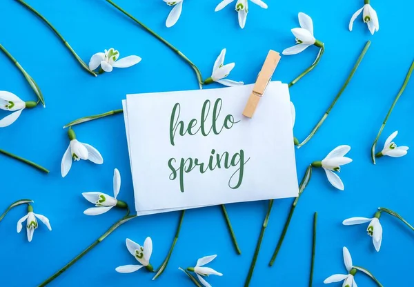 Tekst Kartki Powitalnej Hello Spring Litery Kwiatami Kropli Śniegu Wczesne — Zdjęcie stockowe