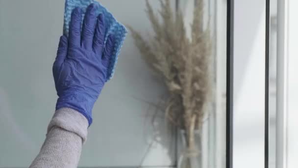 Καθαρίζω το παράθυρο. Μια νεαρή γυναίκα καθαρίζει και γυαλίζει τα παράθυρα Τα μπλε γάντια καθαρίζουν ένα παράθυρο χρησιμοποιώντας το υγρό ψεκασμού. Υαλοκαθαριστήρας με βρώμικο παράθυρο απ 'έξω. Υπηρεσίες καθαριότητας και καθαριότητας — Αρχείο Βίντεο