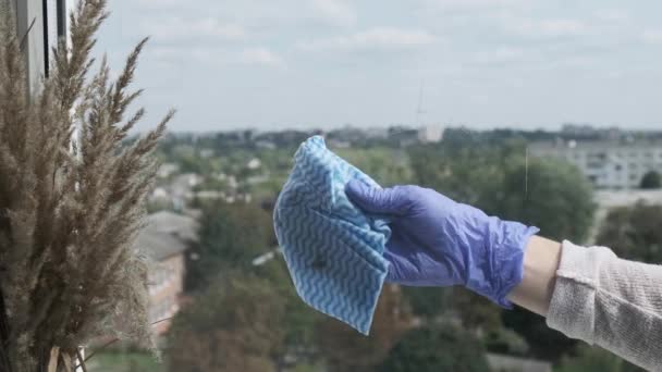 Het raam schoonmaken. Een jonge vrouw reinigt en polijst ramen Blue Gloves Cleaning a Window using Sprayed Liquid. Een ruitenwisser met een vuil raam van buitenaf. Huishouden en schoonmaken — Stockvideo