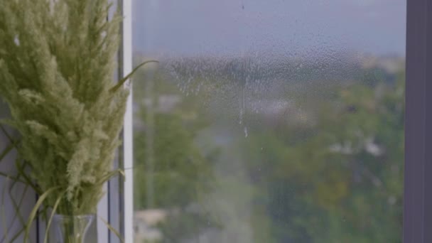 A limpar a janela. Uma jovem limpa e poliu janelas Luvas Azuis Limpeza de uma Janela Usando Líquido Pulverizado. Limpe com uma janela suja do close-up externo. Trabalho doméstico e limpeza — Vídeo de Stock