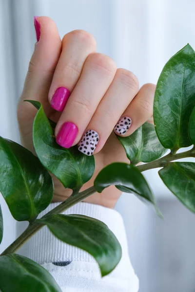 Gemanicuurde Vrouwelijke Handen Met Stijlvolle Roze Nagels Design Trendy Moderne — Stockfoto