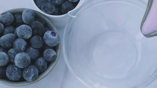 Schüssel mit Joghurt und Blaubeeren auf dem Tisch. Frau isst Blaubeerjoghurt mit frischen Blaubeeren. Gesundes Frühstück. Super Food gesunde Ernährung vegetarisch vegane Nahrung — Stockvideo