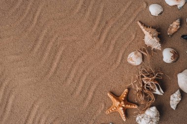 Fotokopi alanı, deniz kabukları, çakıl taşları ve kum arka planının kompozisyon çerçevesi. Boşluk, üst görünüm, durgun hayat, düzlük. Deniz seyahati konsepti turizm ve tatil beldeleri. Yaz tatili