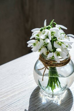 Su dolu cam bir vazoda bir buket kardelen. Uzayı metin için kopyala. Erken bahar çiçekleri. Tatil tebrik kartı.