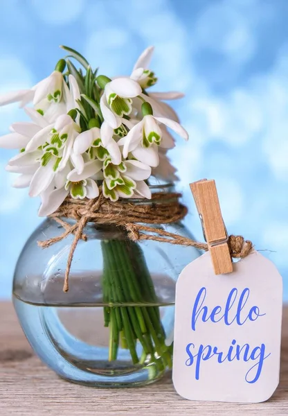 인사말 Hello Spring Letletlettering Snowdrop Flower 스프링 — 스톡 사진