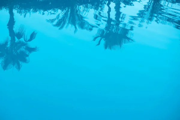 Отражение пальм в воде бассейна. Бассейн с голубой водой и пальмовыми ветвями в качестве летнего отдыха и отдых на фоне бассейна — стоковое фото