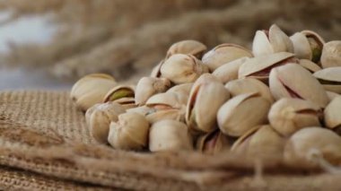 Çuvaldaki fıstıklar beton masada. Organik fıstık. Vegan Sağlıklı Besin Yüksek Protein. Beslenme düzeni. Fındık kavramı