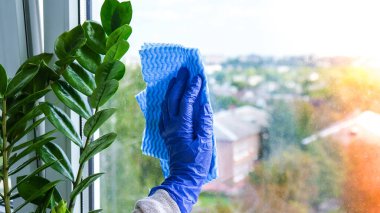 İşçi eli, tozdan cam silen mikro fiber kumaşla plastik koruyucu eldiven giymiş. Genel bahar temizliği. Ev işleri ve ev idaresi kavramı