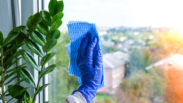 İşçi eli, tozdan cam silen mikro fiber kumaşla plastik koruyucu eldiven giymiş. Genel bahar temizliği. Ev işleri ve ev idaresi kavramı — Stok fotoğraf