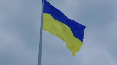 Ukrayna ulusal bayrağı mavi gökyüzüne karşı rüzgarda dalgalanıyor. Ukrayna halkının ulusal sembolü - mavi ve sarı bayrak rüzgarda dalgalanıyor.