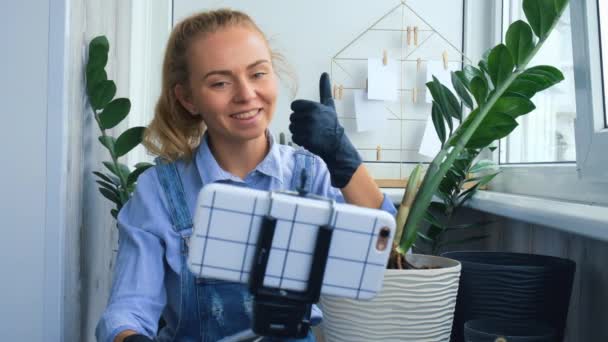 Κηπουρός blogger γυναίκα χρησιμοποιώντας τηλέφωνο, ενώ μεταμοσχεύει φυτά εσωτερικού χώρου και να χρησιμοποιήσετε ένα φτυάρι στο τραπέζι. Zamioculcas Έννοια των φυτών φροντίδα και τον κήπο στο σπίτι. Ανοιξιάτικη φύτευση Μέσα κοινωνικής δικτύωσης — Αρχείο Βίντεο