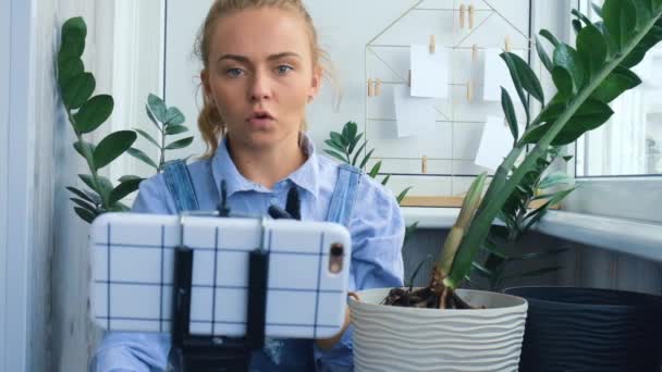 La jardinera bloguera usando el teléfono mientras trasplanta plantas de interior y usa una pala en la mesa. Zamioculcas Concepto de cuidado de plantas y jardín casero. Plantación de primavera. Redes sociales — Vídeo de stock