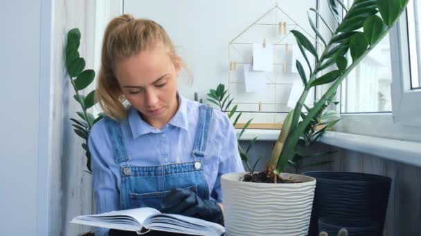 Gardener γυναίκα ανάγνωση βιβλίο και μεταμοσχεύσεις φυτών εσωτερικού χώρου και χρησιμοποιήστε ένα φτυάρι στο τραπέζι. Zamioculcas Έννοια των φυτών φροντίδα και τον κήπο στο σπίτι. Ανοιξιάτικη φύτευση — Αρχείο Βίντεο