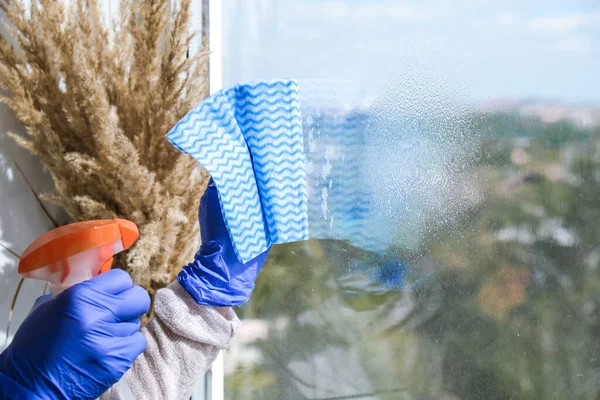 Woman Blue Gloves Cleaning Window Using Sprayed Liquid Micro Fiber — Stock Photo, Image
