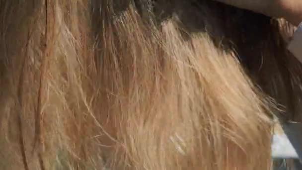 Egy aggódó nő fésülködés után hajhullással a kezében. Hajcsomó, növekedési probléma, hajápolási problémák. — Stock videók