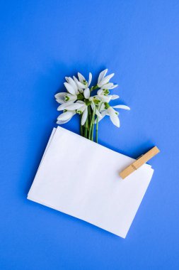 Renk arkaplanında kar damlası çiçekleri olan düz kompozisyon, metin için boş kağıt etiket kopyalama alanı. Tatil tebriklerimi sunuyorum. Üst görünüm