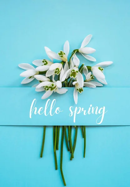 인사말 Hello Spring Letletlettering Snowdrop Flower 스프링 — 스톡 사진