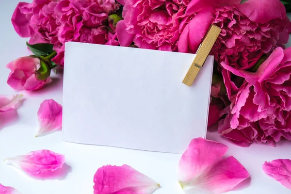 Pedónias Cor Rosa Brilhantes Num Fundo Branco Arranjo Flores Verão — Fotografia de Stock