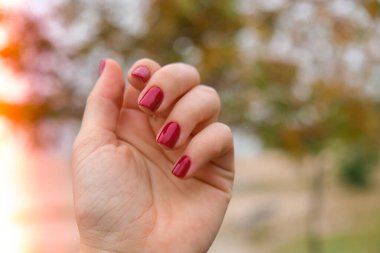 Şık kırmızı kadın tırnakları. Modern güzel manikür. Sonbahar kış tırnak tasarımı güzellik tedavisi konsepti. Jel tırnaklar. Cilt bakımı. Sağlıklılık. Moda renkleri.