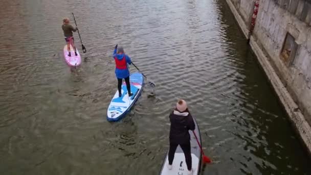 Danzica Polonia Marzo 2022 Gruppo di surfisti di sup stand up paddle board, le donne si alzano remare insieme nella città Motlawa fiume e canale nel centro storico Danzica Polonia. Attrazione turistica Attivo all'aperto — Video Stock