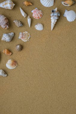 Fotokopi alanı, deniz kabukları, çakıl taşları ve kum arka planının kompozisyon çerçevesi. Boşluk, üst görünüm, durgun hayat, düzlük. Deniz seyahati konsepti turizm ve tatil beldeleri. Yaz tatili