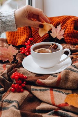 Sonbahar moda konsepti. Limonlu sıcak çay ve tarçınlı çubuklar kazak eşarbında. Kırmızı manikürlü bir kadın eli. Sonbahar yaprakları ve böğürtlen bileşimi hala hayatta. Bir bardak sıcak şarap. Çay zamanı. Neşeli ev atmosferi