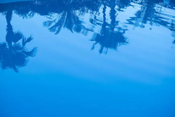 Reflexão Palmeiras Água Piscina Piscina Com Água Azul Cristalina Com — Fotografia de Stock