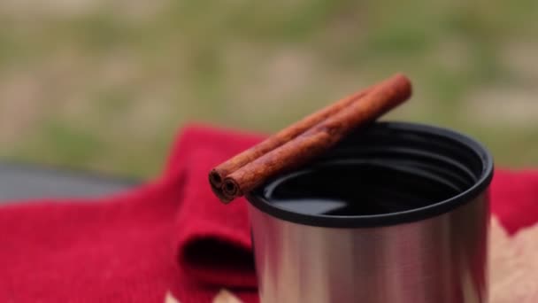 Mulled wine with cinnamon sticks in thermo cup outdoors in autumn park. Red scarf Fall picnic — ストック動画