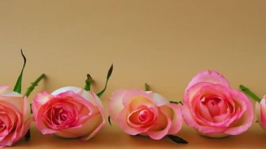 Bej arka planda zarif pembe güller. Minimum trend kompozisyonu. Soyut sanat fikri. Romantik pastel pembe gül çiçekleri. Modern estetik. Tarafsız toprak tonları