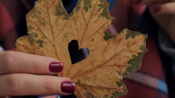 Stylish red female nails. Fall leaf with hole in heart shape in hands. Modern Beautiful manicure. Autumn nail design concept of beauty treatment. Gel nails. Skin care. — Stock Video