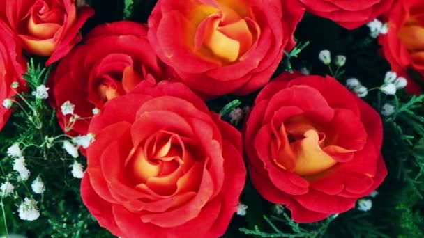 Strauß roter Rosen in Hutschachtel auf hellem Hintergrund dekoriert. Obenauf gebundene Verbeugung. Blumengeschenk für den Urlaub. Blumenschmuck. Urlaubsgrüße — Stockvideo