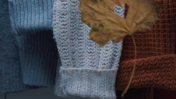 Conceito de outono. A mão feminina pôs a folha de bordo na forma de coração no suéter quente acolhedor. Camisolas de lã e mohair de malha. Estilo Hygge — Vídeo de Stock