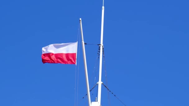 Flag of Poland waving on flag pole of ship. Polish flag fluttering while sailing boat on sea. — Vídeo de Stock
